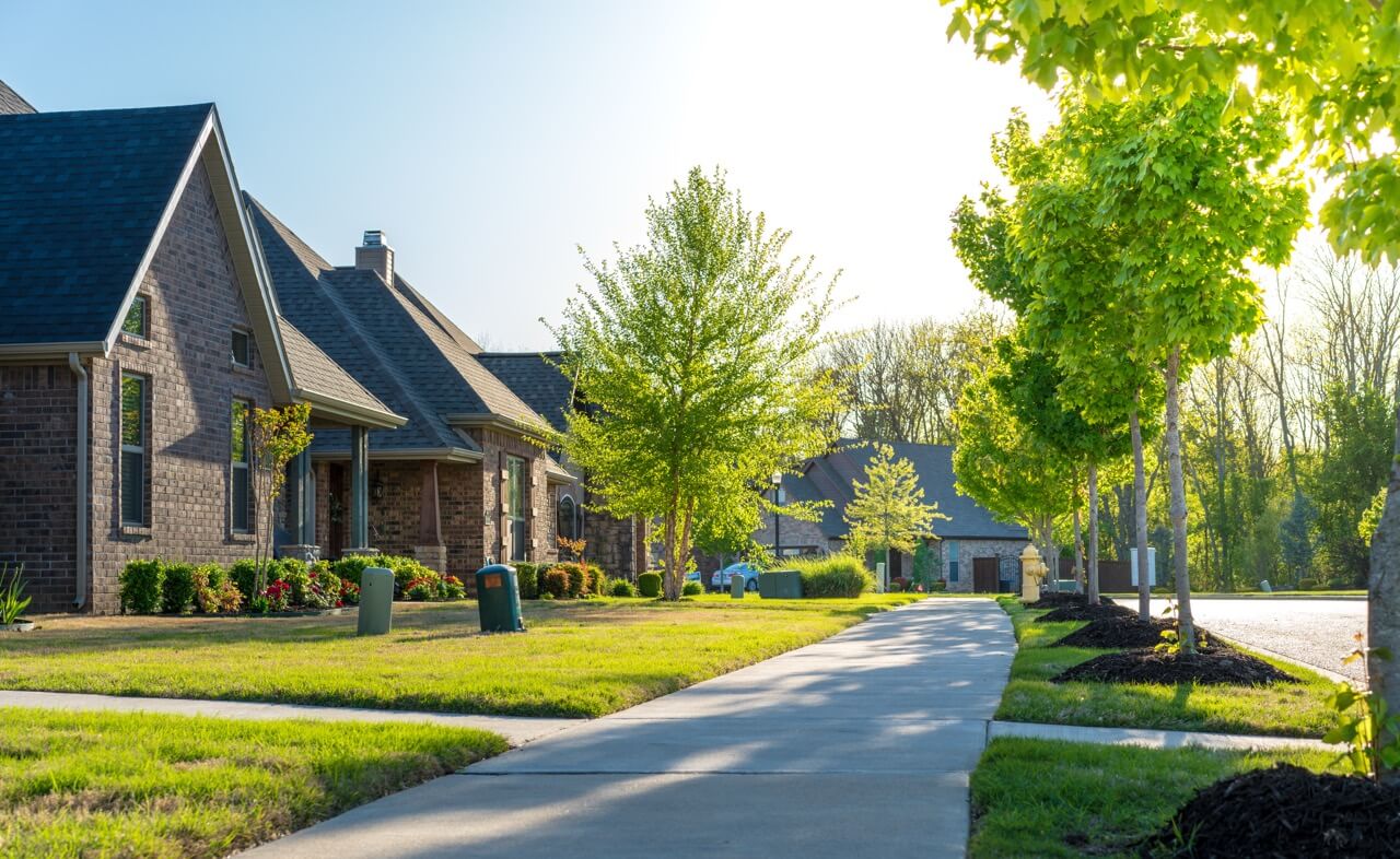 A quiet neighborhood street on a sunny day